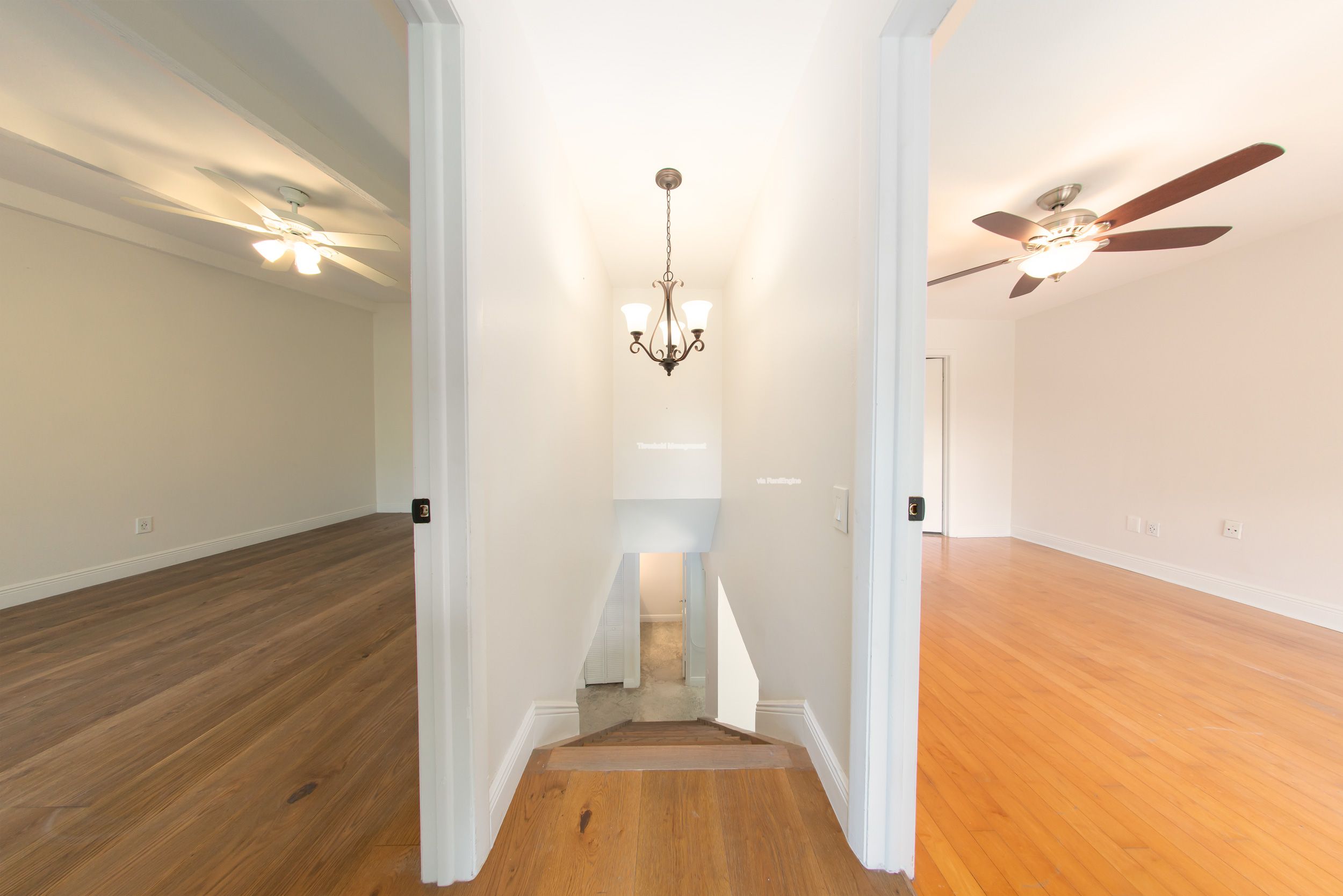 Gallery Image 39