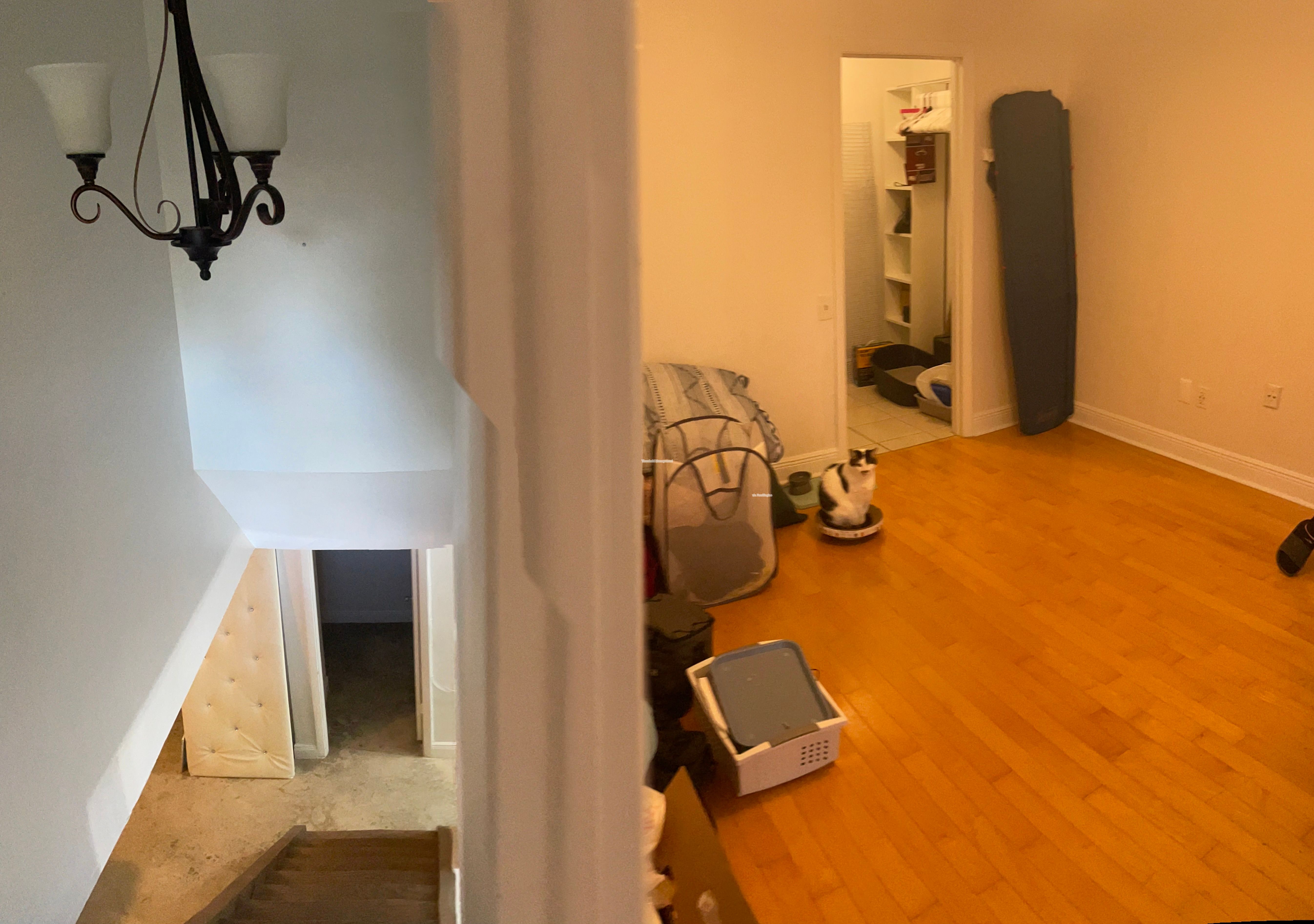 Gallery Image 16